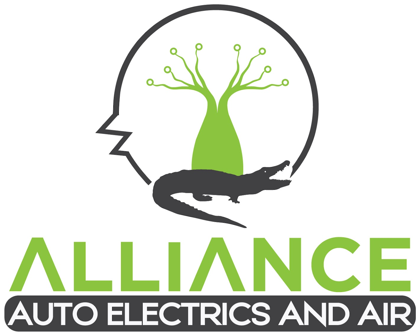 Alliance Auto Electrics & Air Conditioning logo